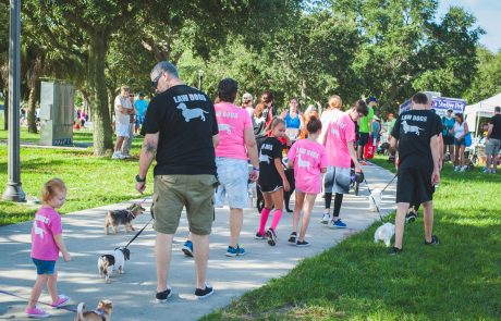 Law Dogs® | SPCA Pet Walk | McDermott Law Firm