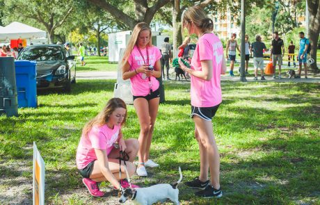 Law Dogs® | SPCA Pet Walk | McDermott Law Firm