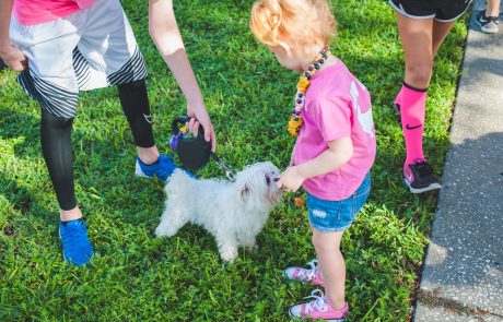 Law Dogs® | SPCA Pet Walk | McDermott Law Firm