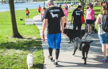 Law Dogs® | SPCA Pet Walk | McDermott Law Firm